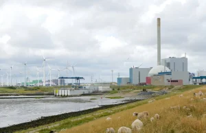 Holandia chce wybudować nawet 10 reaktorów jądrowych, sąsiednie Niemcy się...