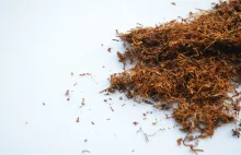 Jak zarabiać na sprzedaży tytoniu: Pełny przewodnik 2021 - E-Tytoń