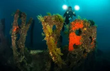 Otwarto Historyczny Park Podwodny Gallipoli | Magazyn Nurkowanie, Podróże...