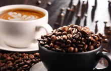 W Europie powstała pierwsza plantacja kawy. To skutek globalnego ocieplenia