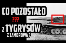 Co pozostało z Tygrysów z Zambrowa? Echa potyczki z lata 1944 roku.