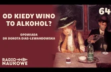 Alkohol i kultura picia, czyli komu, co i ile było wolno | dr Dorota...