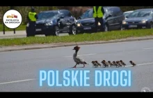 Cyrk na kółkach czyli Polskie drogi