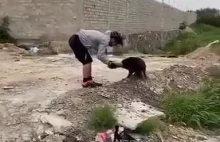 Wdzięczny pies dziękuje za pomoc.