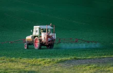 Ministerstwo potwierdza: możliwy kryzys żywnościowy w całej Europie