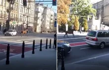 Klacz biegała między autami po centrum Lublina. Zwierzę oddaliło się z lecznicy