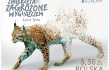 Polski ryś najpiękniejszy w Europie. Poczta Polska świętuje