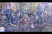 Straż Graniczna pokazała nowe nagranie z granicy. Migranci: "Germany, Germany!"