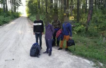 Niemcy. Od sierpnia z Białorusi przez Polskę przybyło nielegalnie 4300 migrantów