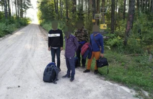 Niemcy. Od sierpnia z Białorusi przez Polskę przybyło nielegalnie 4300 migrantów