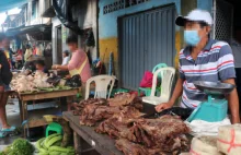 Mięso i skóry 200 gatunków dzikich zwierząt na targu w Peru