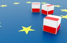 Sondaż: Ilu Polaków chciałoby referendum ws. obecności w UE?