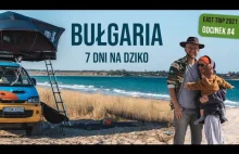 7 dni na dziko na bułgarskich plażach