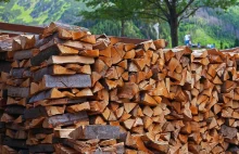 Przez wysokie ceny gazu Holendrzy kupują coraz więcej drewna na opał