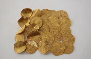 25 złotych monet odkryte wśród ziemniaków.. skarb znaleziony w Holandii -GALERIA
