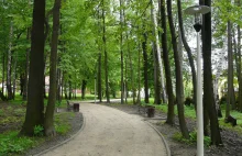 Mieszkańcy chcą wyciąć park, bo ptaki śpiewają, a liście wywołują depresję.