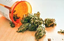 Chory 69-latek trafi przed sąd za hodowanie marihuany w celach medycznych