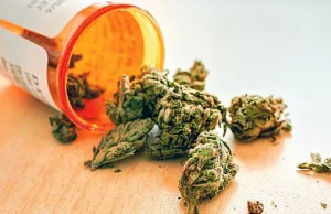 Chory 69-latek trafi przed sąd za hodowanie marihuany w celach medycznych