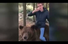 Picie wódki na niedźwiedziu