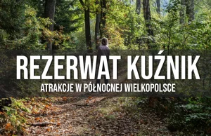 Rezerwat Kuźnik w Pile - mało znane miejsca w Wielkopolsce