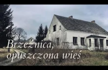 Opuszczona Wieś - Brzeźnica
