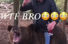 Selfie z niedźwiedziem - niektórym się jednak udaje