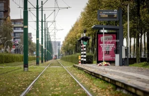 Holandia: Zarzuty dla 15-latka, który wepchnął Polaka pod tramwaj
