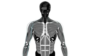 Polak stworzył ramię robota z syntetycznymi mięśniami.