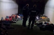 Szturm migrantów na Polskę. Coraz więcej zatrzymań