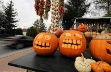 Halloween w szkole nie będzie. Interweniowało Małopolskie Kuratorium Oświaty