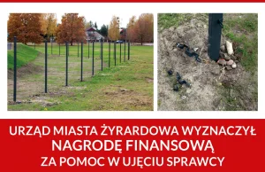 W Żyrardowie powstał pumptrack. Po 2 tyg. od otwarcia ukradziono ogrodzenie