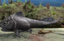 Ryby jako pierwsze uprawiały seks