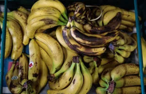 Turcja deportuje siedmiu Syryjczyków za prowokacyjne spożywanie bananów.