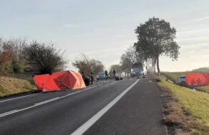 Czołowe zderzenie aut w Wielkopolsce. Nie żyją dwie osoby