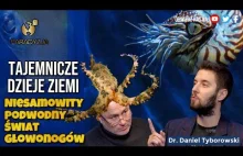 Tajemnicze Dzieje dr Daniel Tyborowski | Niesamowity podwodny świat głowonogów