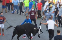 Hiszpania: Mężczyzna zabity przez byka podczas gonitwy