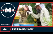 Pszczelarstwo - jak się robi miód w rodzinnej Pasiece Bonków - TMK#4