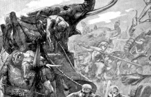 Wartość słoni bojowych na polu bitwy. Czy te zwierzęta naprawdę były...