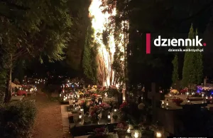 Szczawno-Zdrój. Pożar na cmentarzu. Kilkumetrowy słup ognia