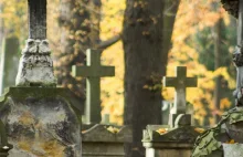 PiS chce rewolucji na grobach. Pomniki przestaną był własnością Polaków
