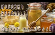 Mleczko pszczele - Royal Jelly #produkt #pochodzenia #pszczelego