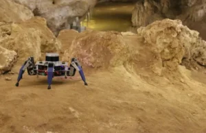 Pająk-robot zbada australijskie jaskinie chronione prawem UNESCO