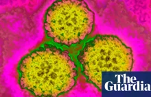 Pierwsze takie badanie: szeczpionka na HPV i 62% spadek zachorowań na raka