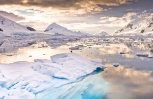 Polscy naukowcy po ponad 40 latach wracają na Antarktydę