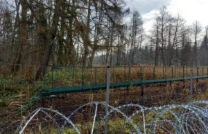Białoruś buduje kładki, by przepychać migrantów do Polski