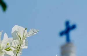 Francuscy biskupi uznali instytucjonalną odpowiedzialność Kościoła za pedofilię