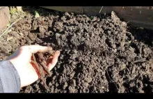 Jak wygląda gotowy kompost, czyli suplement do filmu o kompoście i kompostowniku