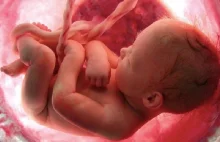Powstał raport o powiązaniach korporacji farmaceutycznych z aborcją