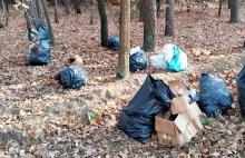 Znaleźli worki śmieci. Sprawca zapłacił mandat, uprzątnął las, kupił też karmę