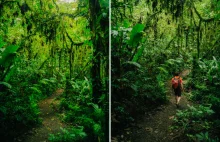 Las chmurowy Santa Elena i zipline w kostarykańskiej dżungli